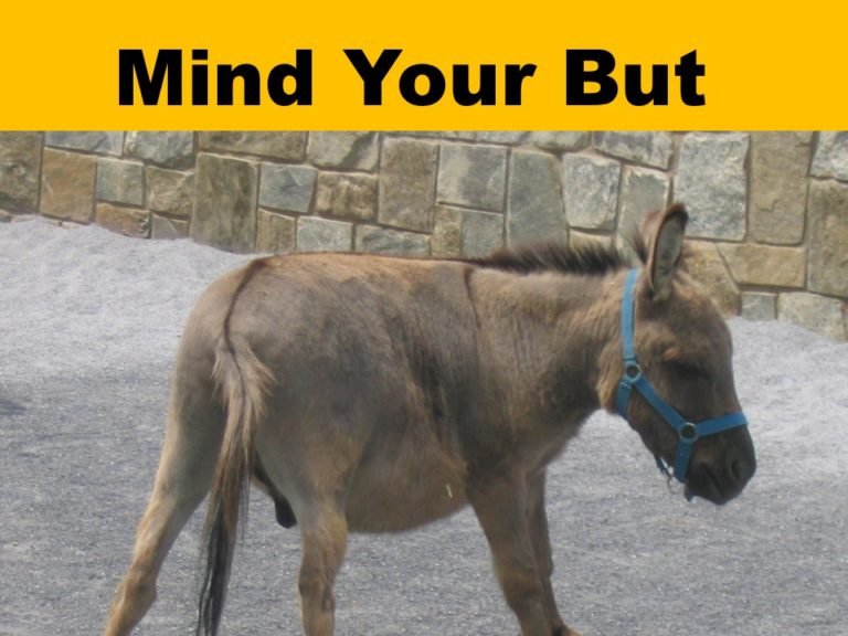 Word mistakes in communication But